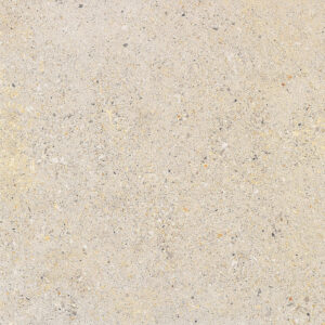 light speckled textured surface