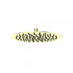 Gold oval shower head