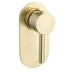 Brushed brass shower mixer